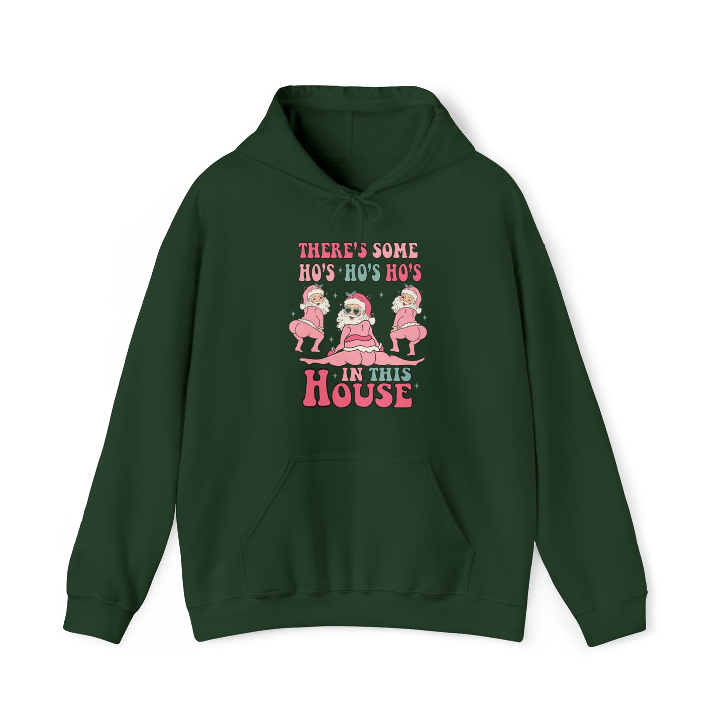 There's Some Ho's Ho's Ho's In This House Adult Hoodie