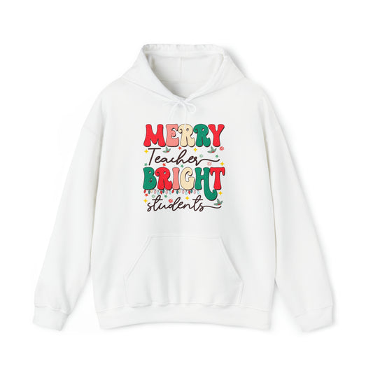 Merry Teacher Bright Students Adult Hoodie