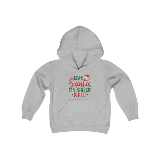 Dear Santa My Sister Did It Youth Hoodie